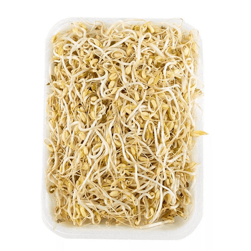 RAIZ CHINA 150G BANDEJA